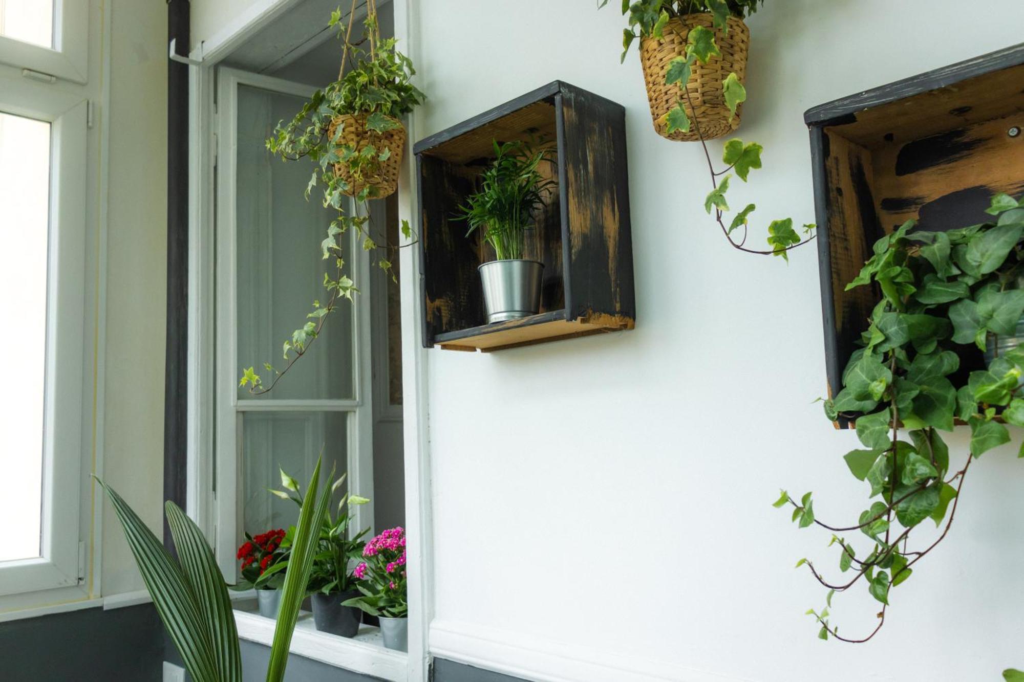 Saint Jack Luxury Apartment Trieste Exterior photo